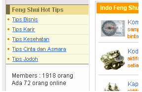 pengunjung situs