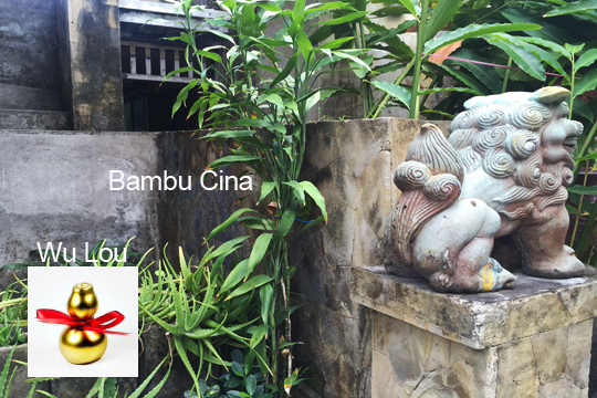 bambu-cina